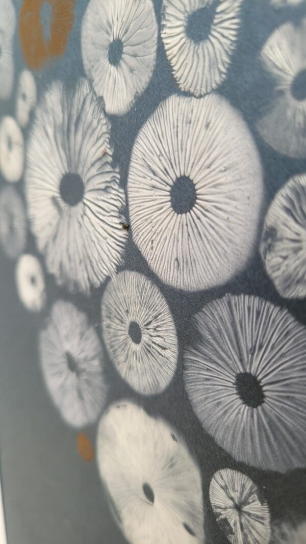 Floating - Image 3