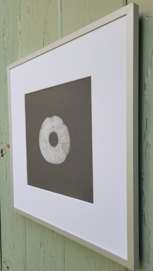 white mushroom spore print on grey