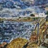 the Forty foot watercolour