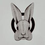 BUNNY - Limited print...