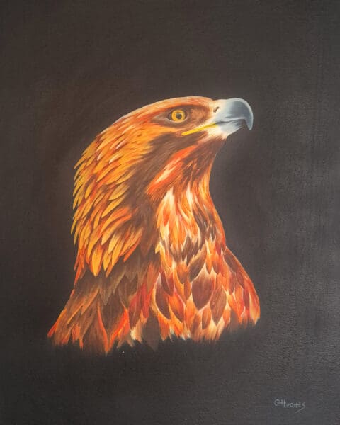 Predators Series - "Eagle"