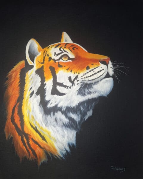 Predators Series - "Tiger"