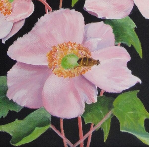 Pink Anemone. - Image 2