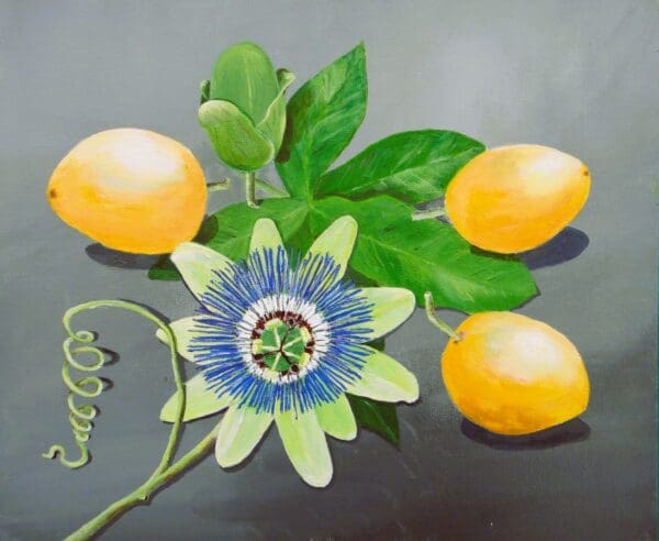 Passion Flower