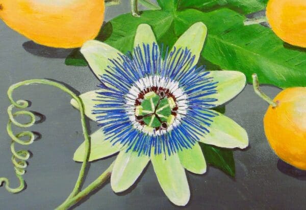 Passion Flower - Image 2
