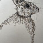 “Bunny”