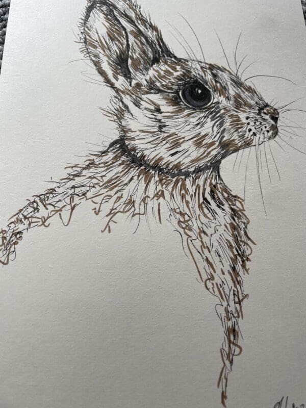 “Bunny”