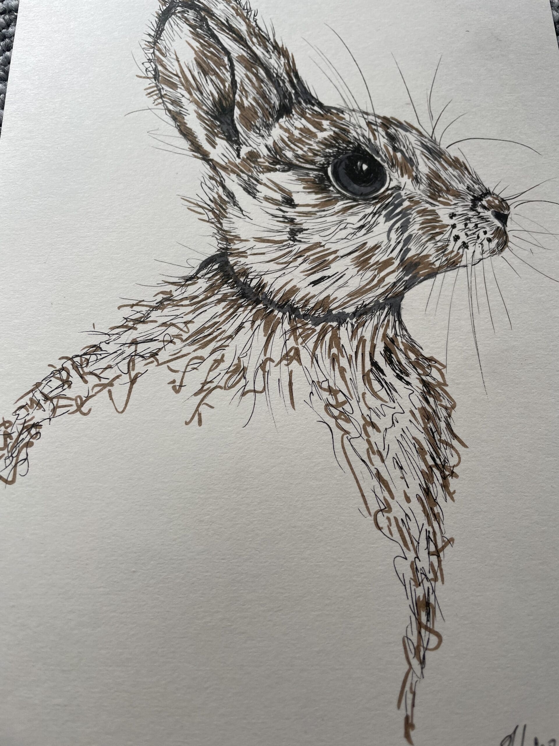 “Bunny”