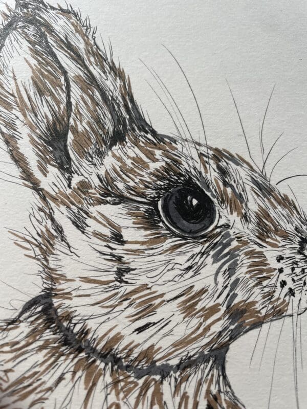 “Bunny” - Image 2
