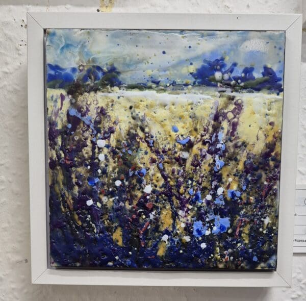 Cornflower Meadow