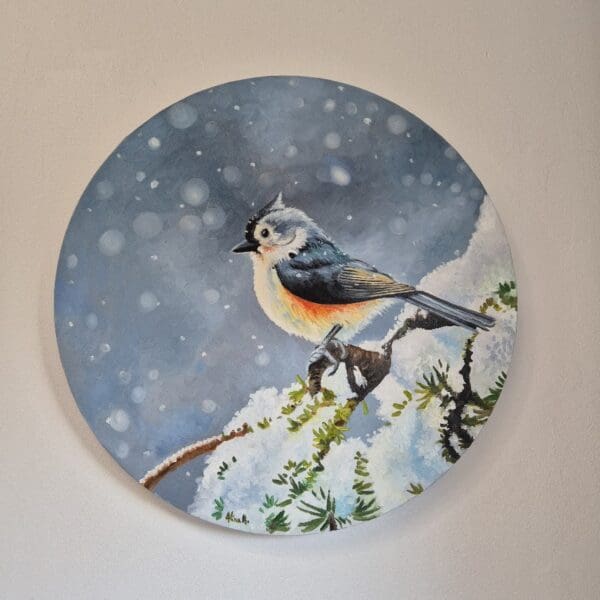 Little Tufted Titmouse - Image 5