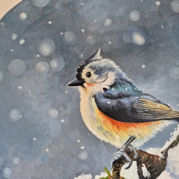 Little Tufted Titmouse - Image 10