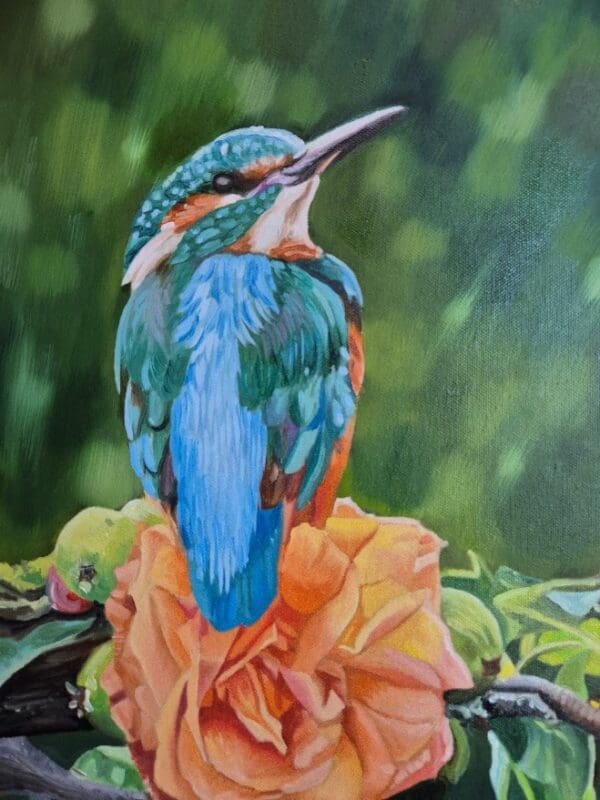 Kingfisher on a rose - Image 4