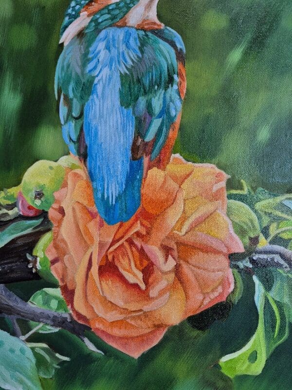 Kingfisher on a rose - Image 5