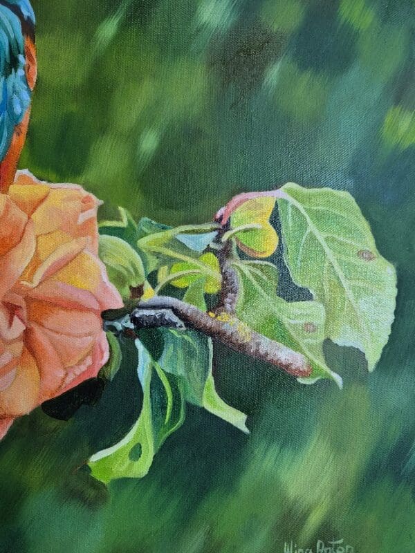 Kingfisher on a rose - Image 6