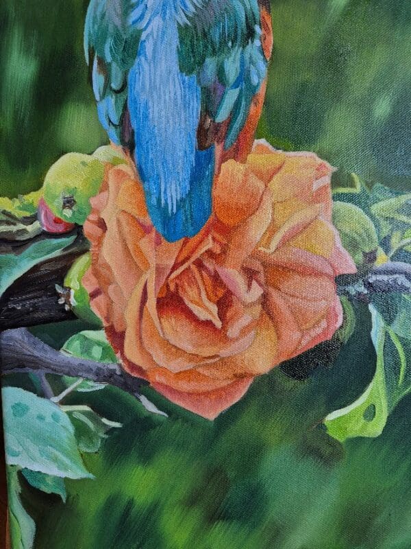 Kingfisher on a rose - Image 7