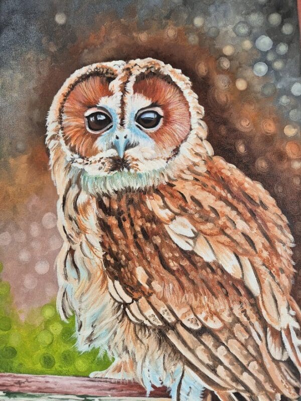 Tawney Owl - Image 2