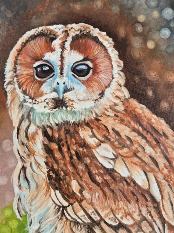 Tawney Owl - Image 6