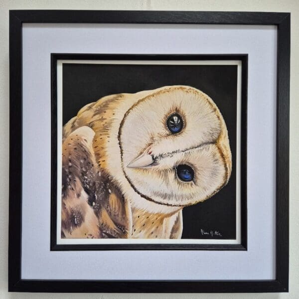 Barn Owl – Giclée Print