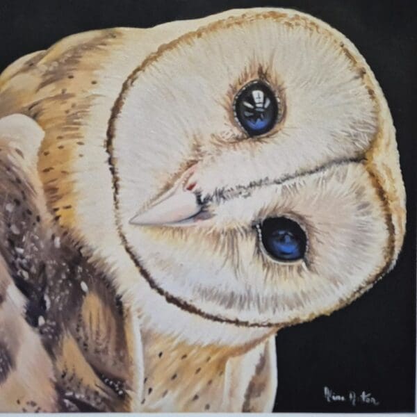 Barn Owl – Giclée Print - Image 4