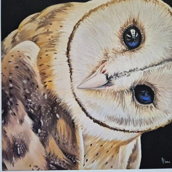 Barn Owl – Giclée Print - Image 5