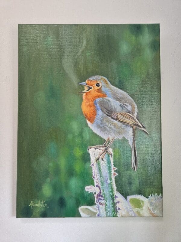 A Robin song - Image 4