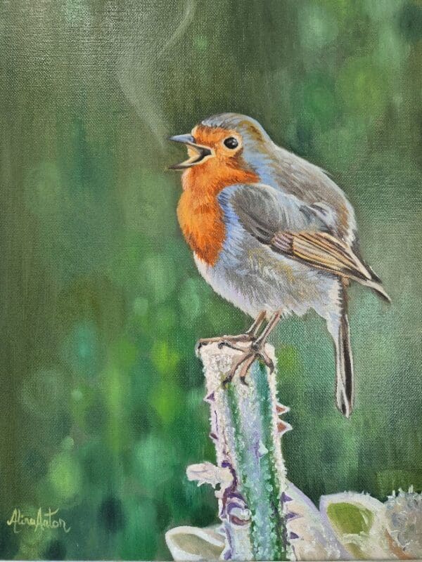 A Robin song