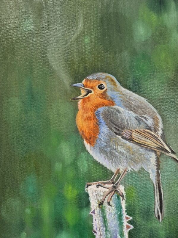 A Robin song - Image 5