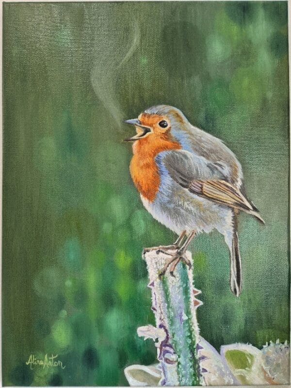 A Robin song - Image 7