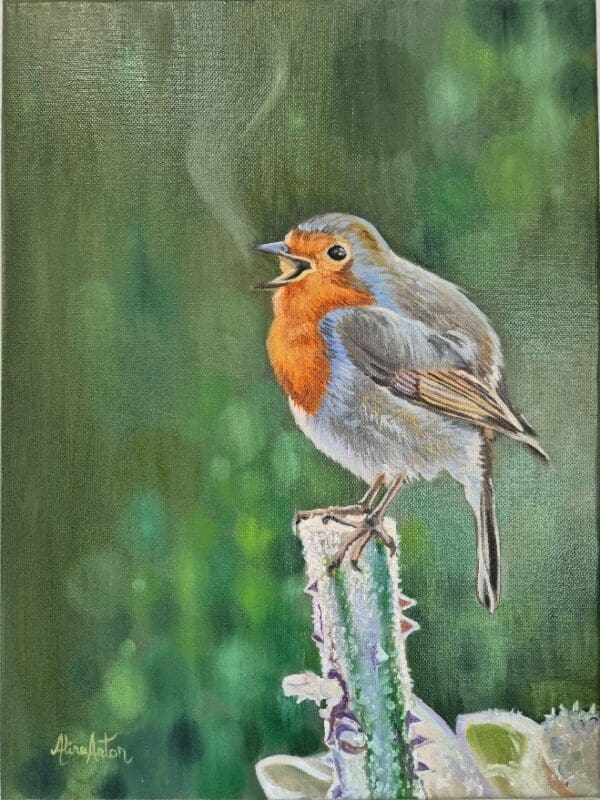 A Robin song - Image 8