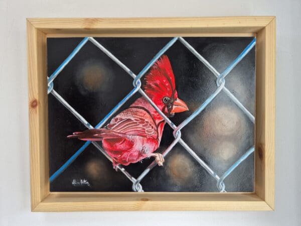 On the fence - Image 2