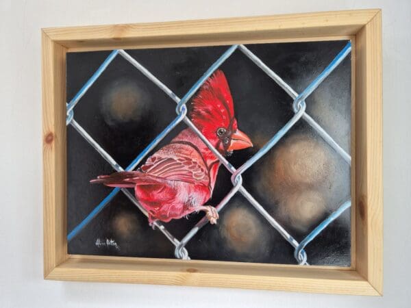 On the fence - Image 3