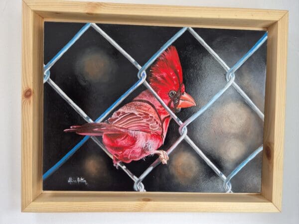On the fence - Image 4