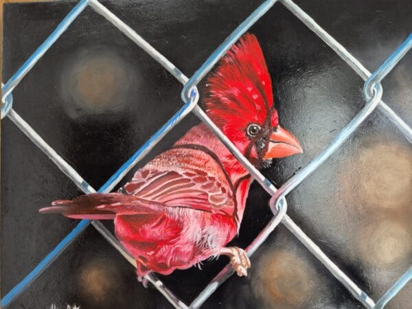 On the fence - Image 5