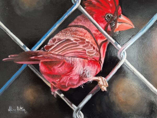 On the fence - Image 6