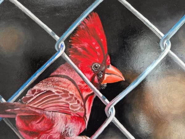 On the fence - Image 7