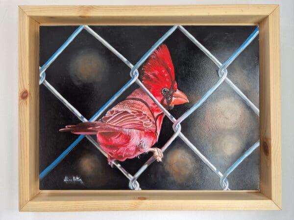 On the fence - Image 9