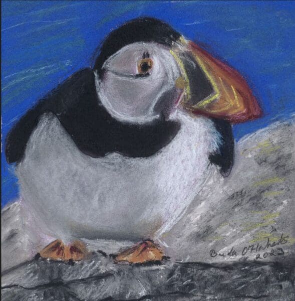 Puffin on Cliffside