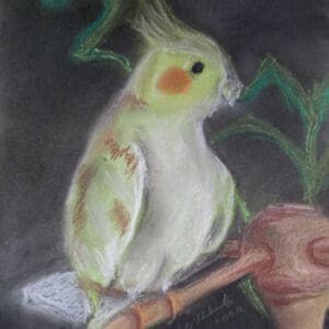 Cockatiel on Perch, original pastel art.