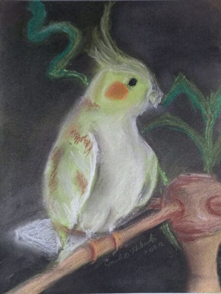 Cockatiel on Perch, original pastel art.