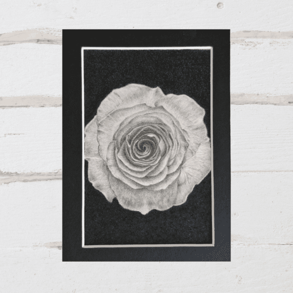 A Rose - Image 2