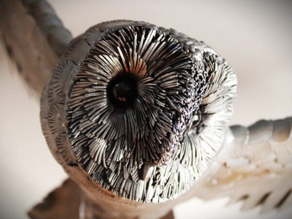Skyward - Image 2