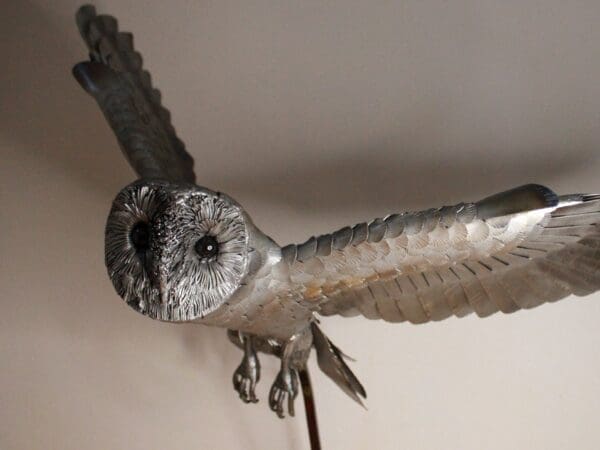 Skyward - Image 5