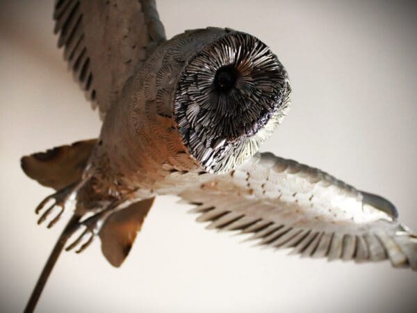 Skyward - Image 4