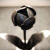 Forged Tulip