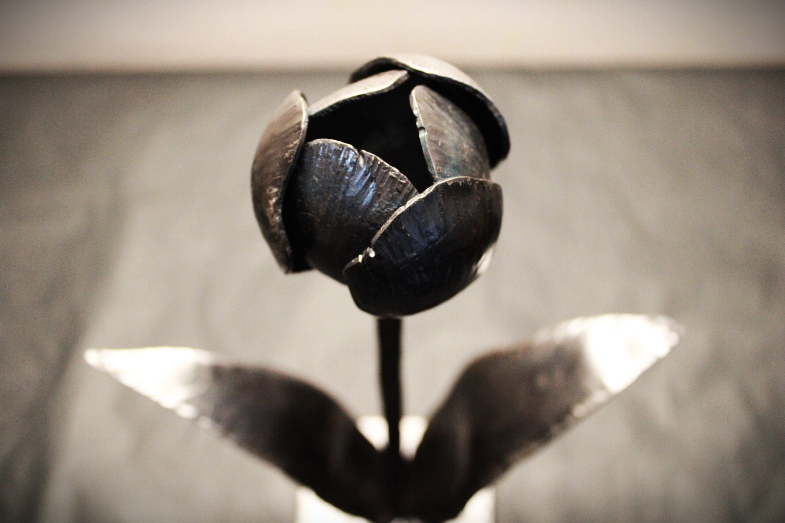 Forged Tulip