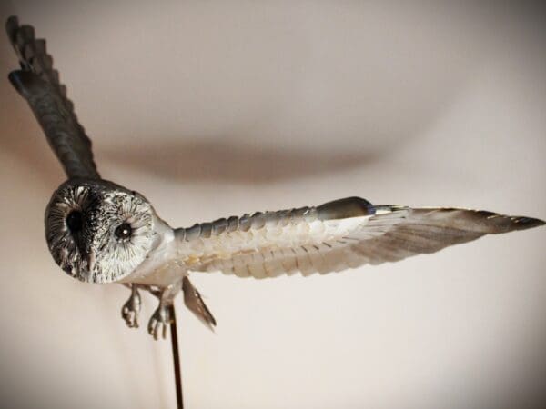Skyward - Image 6