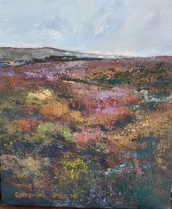 Wicklow Mountains