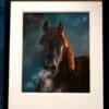 Shadow Majesty – Original Realistic Black Horse Portrait in Soft Pastel - Image 2