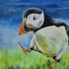 The Puffin Walk - Image 4